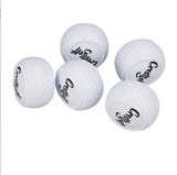 Flat New Golf Indoor And Outdoor Putter Practice Ball Putter Ball